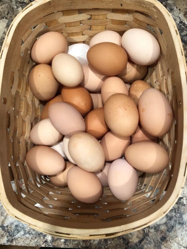 Farm Fresh Eggs