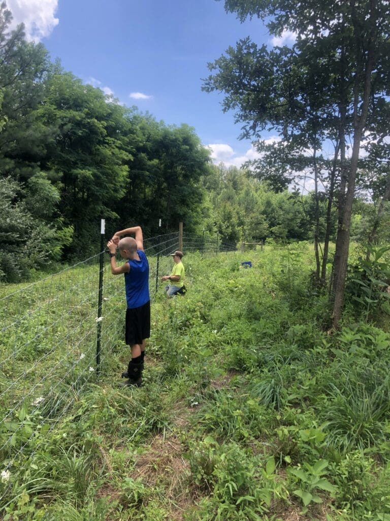 The big boys working their portion of the fence.